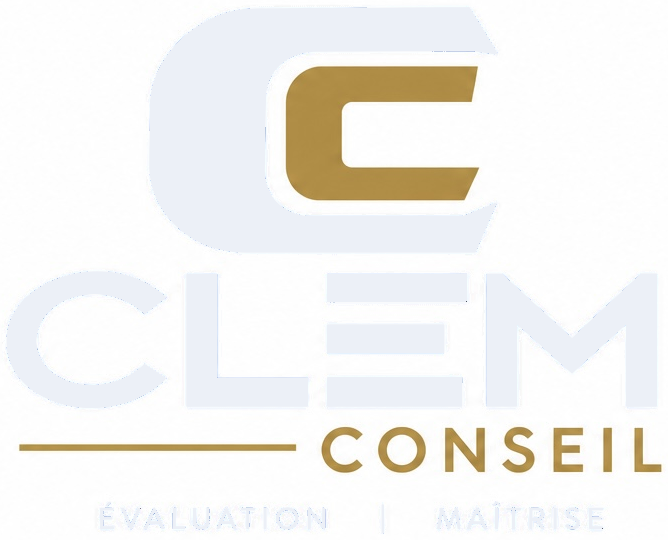 CLEM CONSEIL, Évaluation | Maîtrise